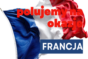 Francja bez bankructwa: Jak szusować w Trzech Dolinach za cenę polskich Tatr?